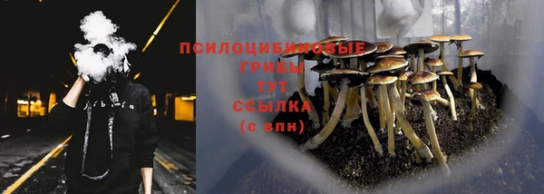 бутират Баксан